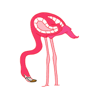 Illustration Other