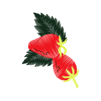 Illustration Other