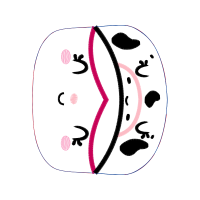 Illustration Other