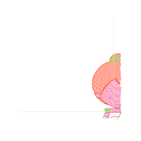 Illustration Other