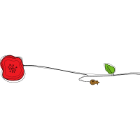 Illustration Other