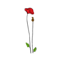 Illustration Other