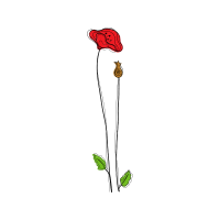 Illustration Other