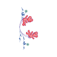 Illustration Other