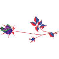Illustration Other