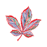 Illustration Other