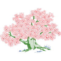 Illustration Other