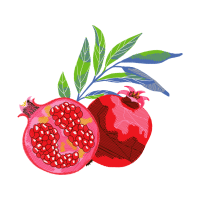 Illustration Other
