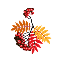 Illustration Other