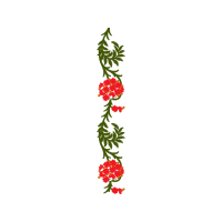 Illustration Other