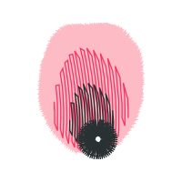 Illustration Other