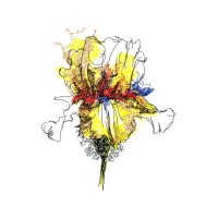 Illustration Other