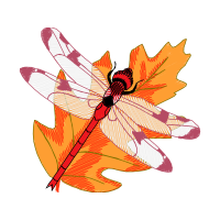Illustration Other