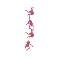 Illustration Other