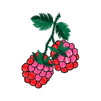 Illustration Other