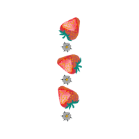 Illustration Other