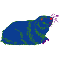 Illustration Other