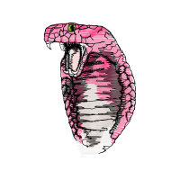 Illustration Other