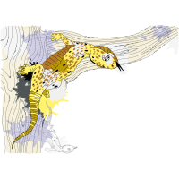 Illustration Other