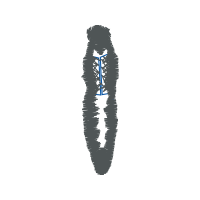 Illustration Other