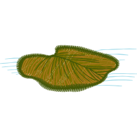 Illustration Other