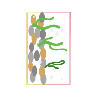 Illustration Other