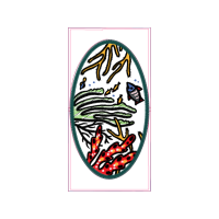 Illustration Other