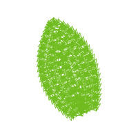 Illustration Other