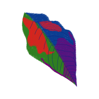 Illustration Other