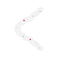 Illustration Other