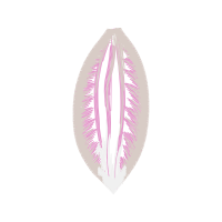 Illustration Other