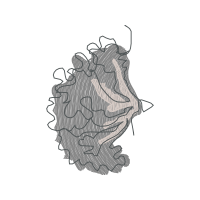 Illustration Other