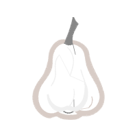 Illustration Other