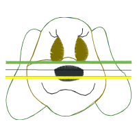 Illustration Other