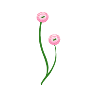 Illustration Other