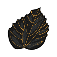 Illustration Other