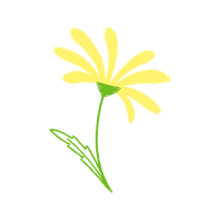 Illustration Other