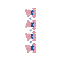 Illustration Other