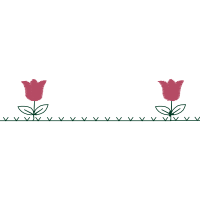 Illustration Other