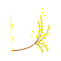 Illustration Other