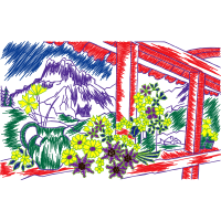 Illustration Other