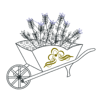 Illustration Other