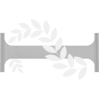 Illustration Other