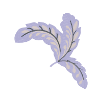 Illustration Other