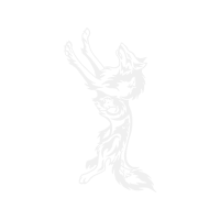 Illustration Other