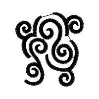 Illustration Other