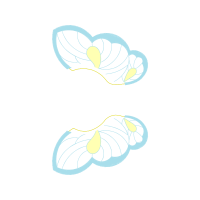 Illustration Other