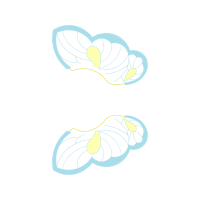 Illustration Other