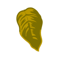 Illustration Other