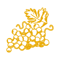 Illustration Other